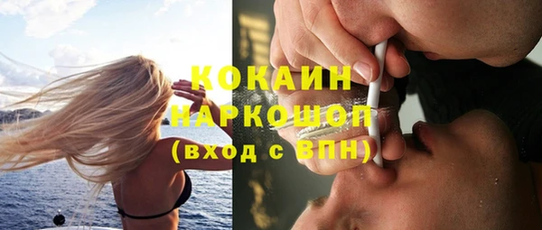 прущие грибы Арсеньев