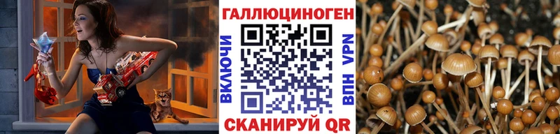 Галлюциногенные грибы MAGIC MUSHROOMS  сайты даркнета как зайти  Талдом 