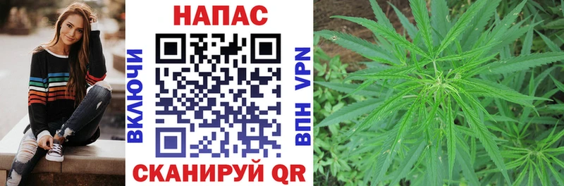 Каннабис сатива  где купить наркоту  маркетплейс телеграм  Талдом 